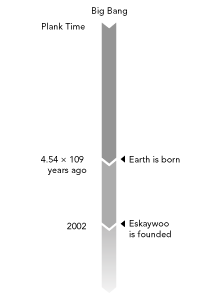history of eskaywoo communication design